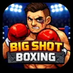 big shot boxing